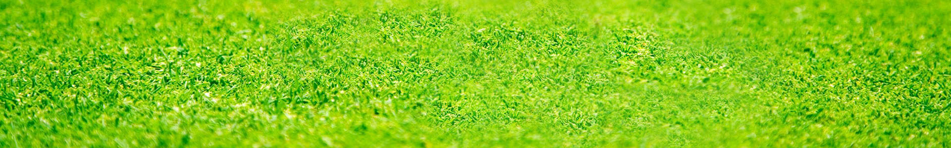 惡臭氣體監測專題