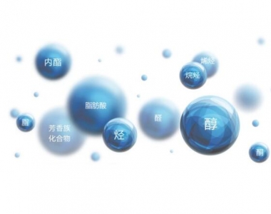 餐飲油煙環(huán)境監(jiān)測(cè)專題