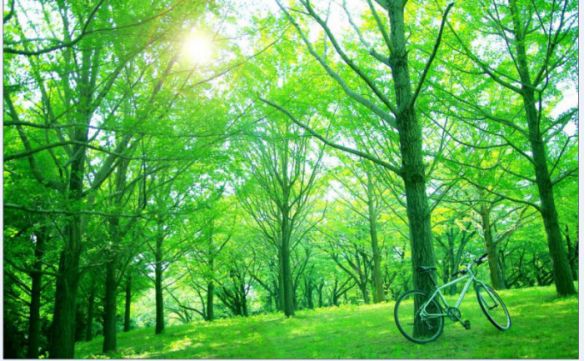 環保部發布四項環境監測最新標準