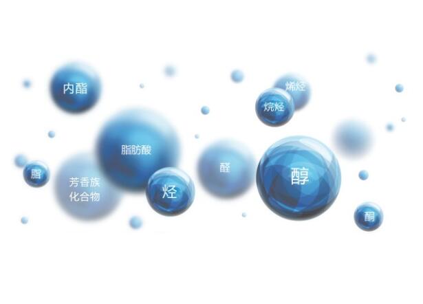 石化區(qū)域【環(huán)境】評價(jià)標(biāo)準(zhǔn)研究 石化區(qū)域【環(huán)境】評價(jià)標(biāo)準(zhǔn)研究