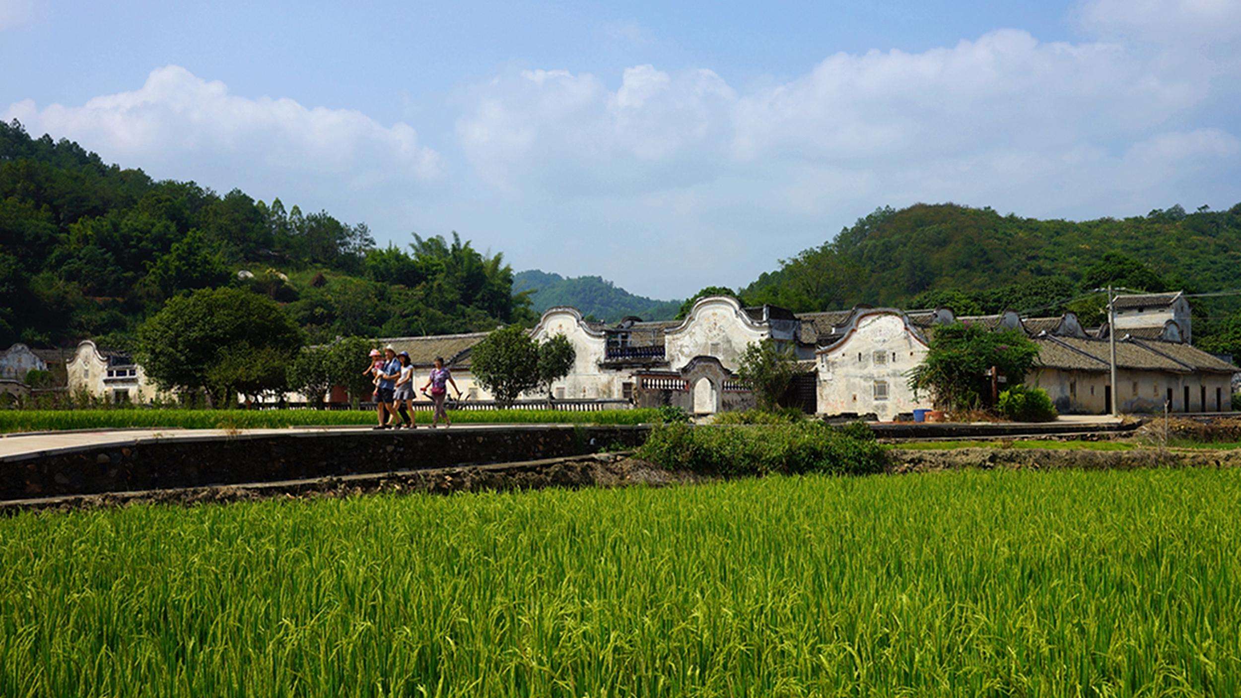 鄉(xiāng)村環(huán)境污染的相關(guān)問(wèn)題解讀