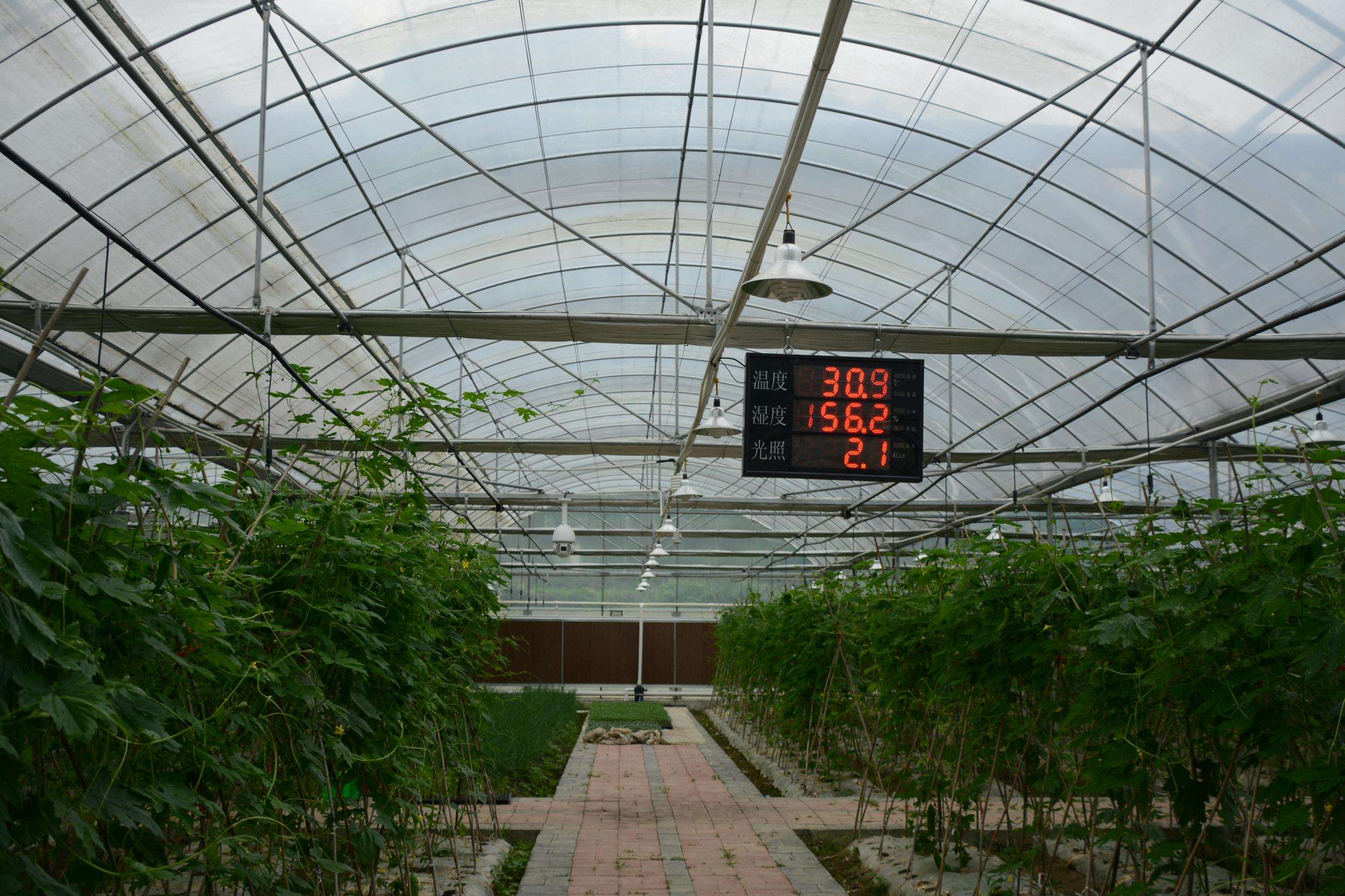 農業使用溫室大棚智慧【環境監控系統】解決方案如何建立？