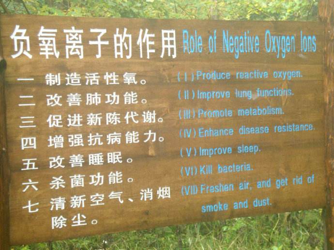 森林大環境監測為什么要做負氧離子監測項？