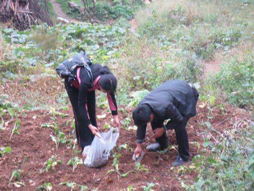土壤墑情環境監測/檢測如何正確采樣