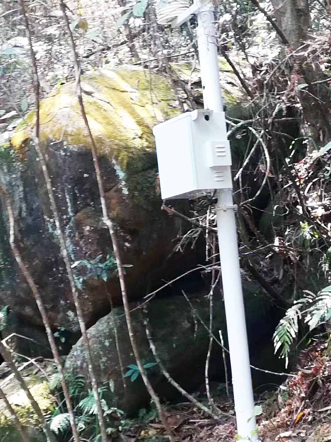 景區環境監測站負氧離子遠程監測系統設備