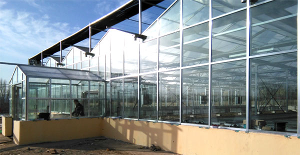 智慧農業物聯網技術與精準農業的發展