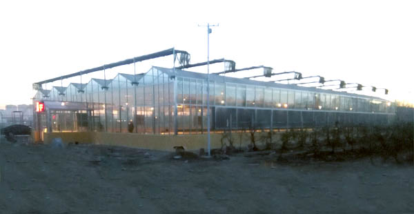 智慧農業物聯網技術與精準農業的發展