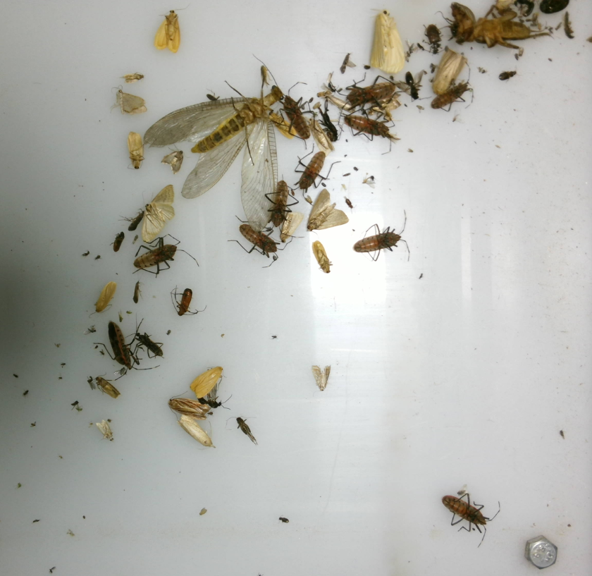 農田環境監測在線監測系統 智慧農業環境在線監測系統