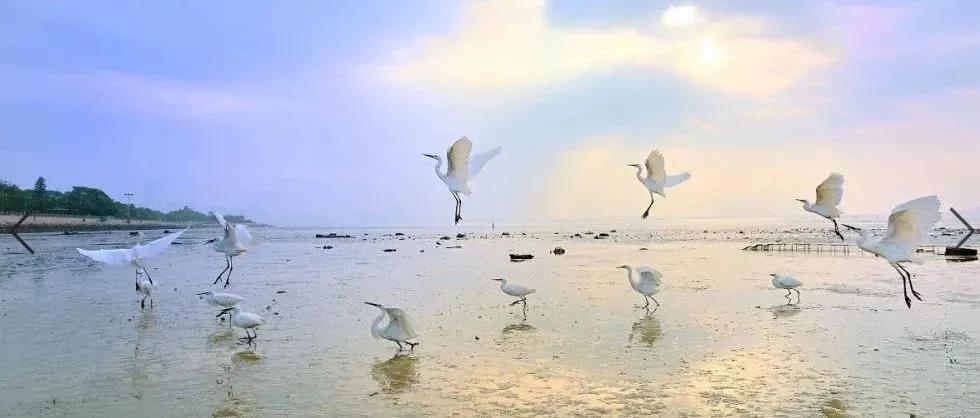 深圳市市生態環境保護委員會第一次會議召開