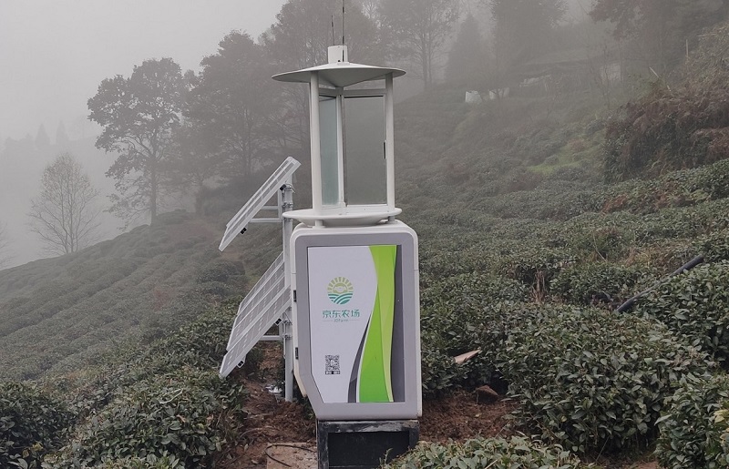 高標準智慧高山茶園解決方案 高標準智慧高山茶園解決方案