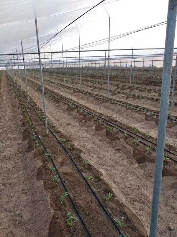 智慧農業水肥一體化灌溉技術解決方案