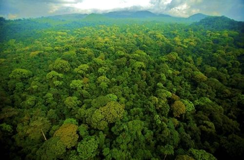 守護(hù)“地球之腎”:濕地公園生態(tài)保護(hù)的系統(tǒng)實踐與價值重構(gòu) 守護(hù)“地球之腎”:濕地公園生態(tài)保護(hù)的系統(tǒng)實踐與價值重構(gòu)